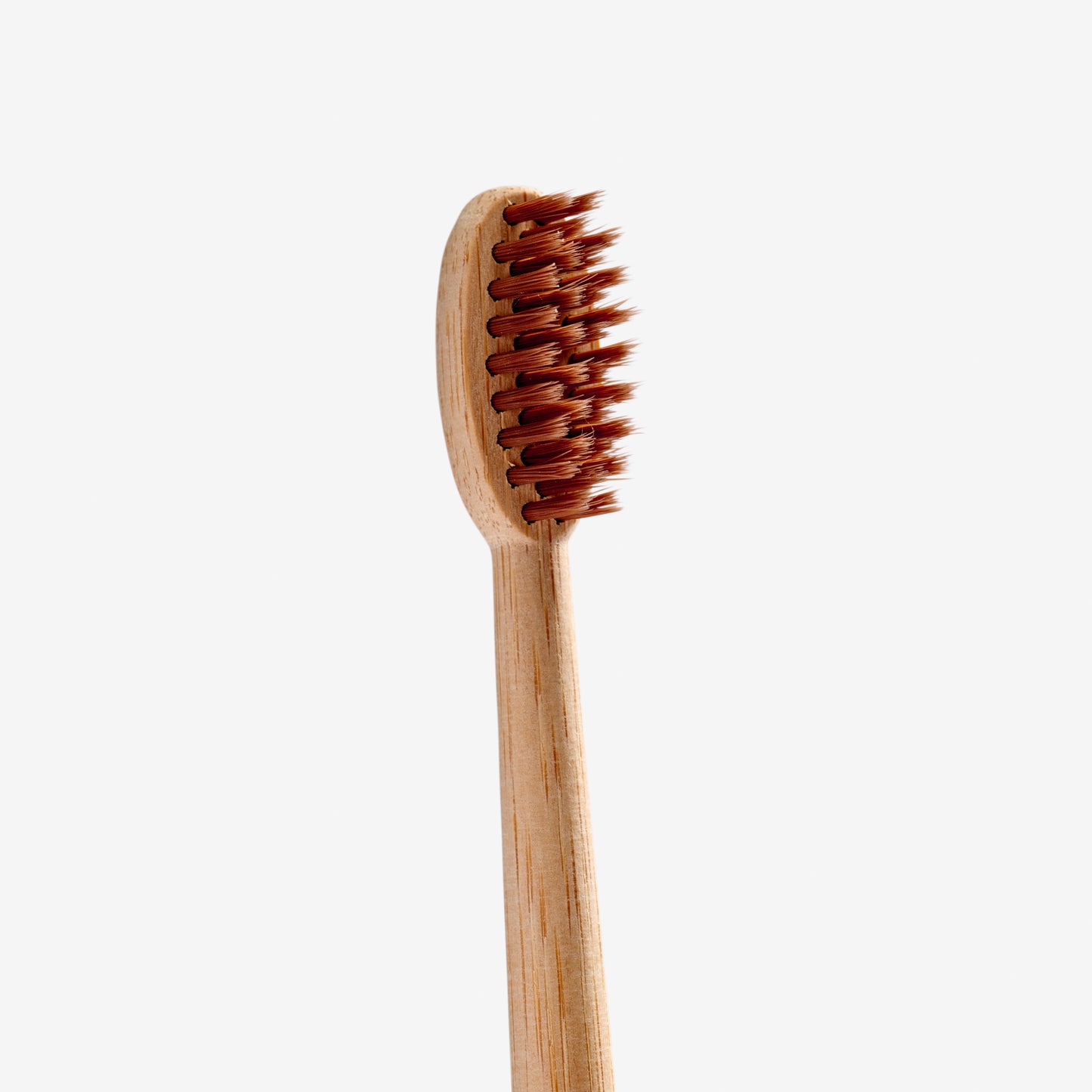 Soft tannbørste voksen