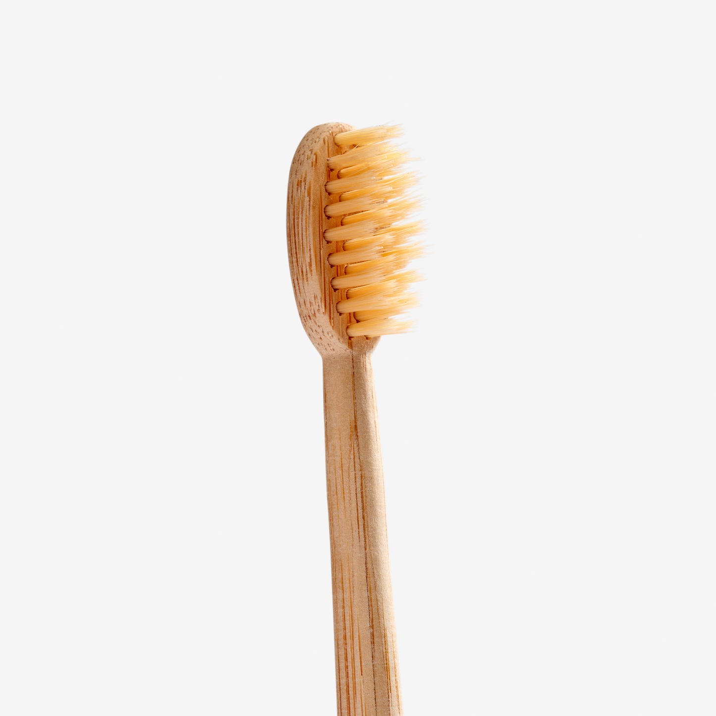 Soft tannbørste voksen